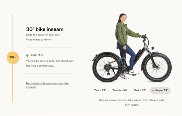RadRover 6 Plus Step-Thru Fat Tire eBike - Image 12